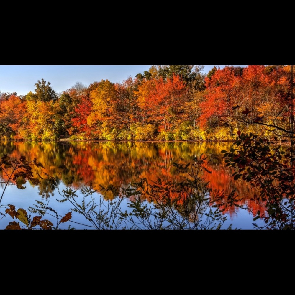 Fall sale *Make an offer